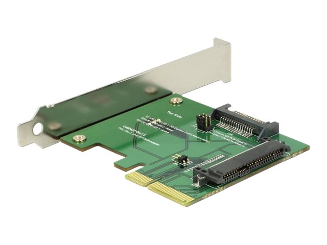 Delock Schnittstellenadapter - Ultra M.2 Card
