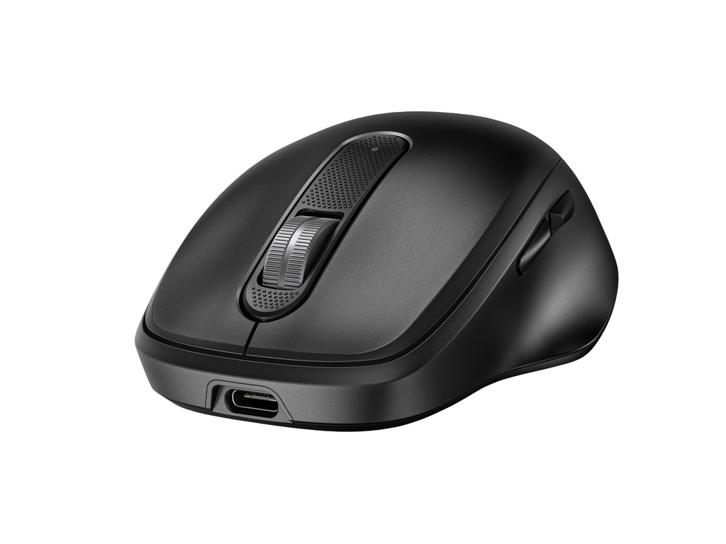HP 510 - Maus - vollständig, ultraschnell aufladbar - 5 Tasten - kabellos - 2.4 GHz - kabelloser Empfänger (USB)