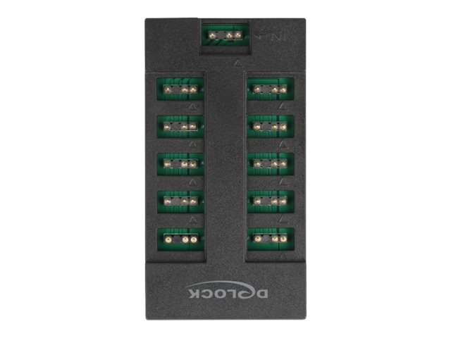 Delock RGB LED-Licht-Hub - 10 Ports - Schwarz