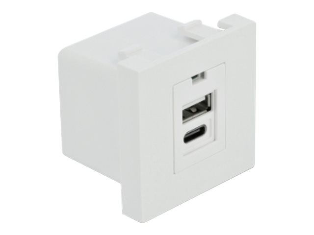 Delock Easy 45 - USB-Ausgang - USB, USB Typ-C
