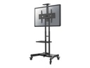 Neomounts NM-M1700BLACK TV-Trolley 32-75" - Schwarz - Fester Bodenständer - Stahl - 50 kg - 81,3 cm (32") - 190,5 cm (75")