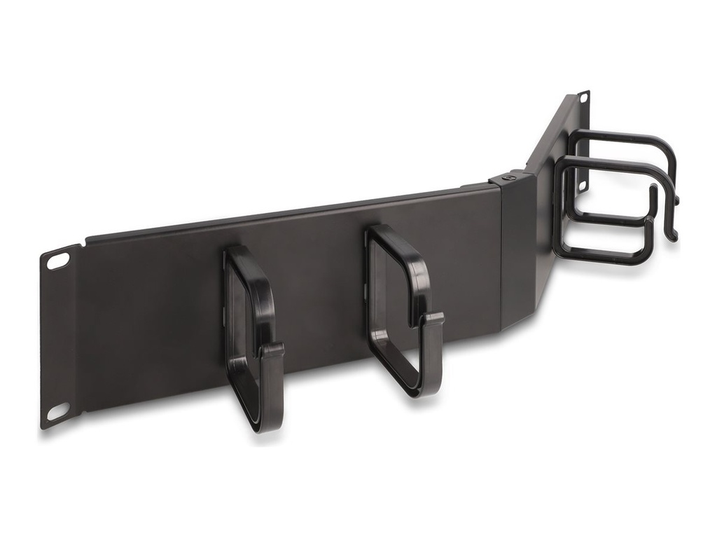 Delock Verlegetafel für Rack-Kabelmanagement - mit 4 Haken, abgewinkelt - Tiefschwarz (RAL 9005)