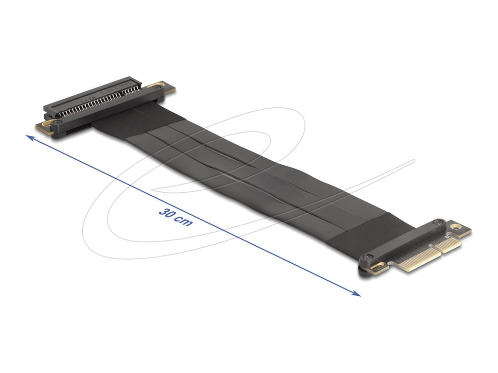 Delock Riser Card