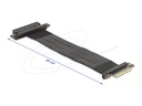 Delock Riser Card