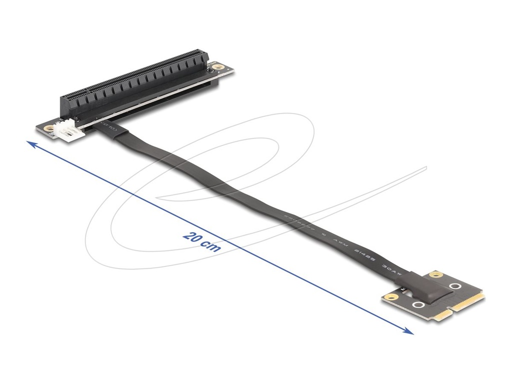 Delock Riser Card