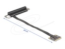 Delock Riser Card