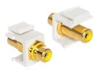 Delock Modularer Einschub (Kopplung) - RCA