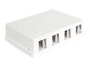 Delock Keystone Surface Mounted Box - Gehäuse