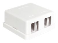 Delock Keystone Surface Mounted Box - Gehäuse
