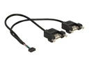 Delock USB-Kabel intern auf extern - 10-poliger USB-Header (W)