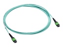 HPE InfiniBand-Kabel - MPO-8 zu MPO-8 - 20