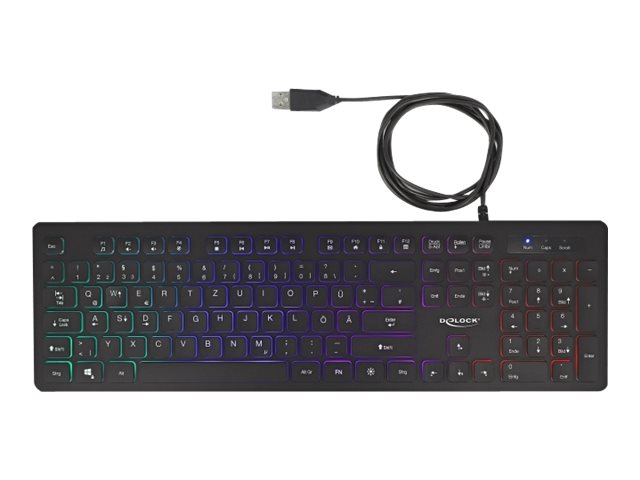 Delock Tastatur - Hintergrundbeleuchtung