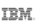 Lenovo IBM - Netzwerkkabel - 10 m - CAT 6 - Gelb - für
