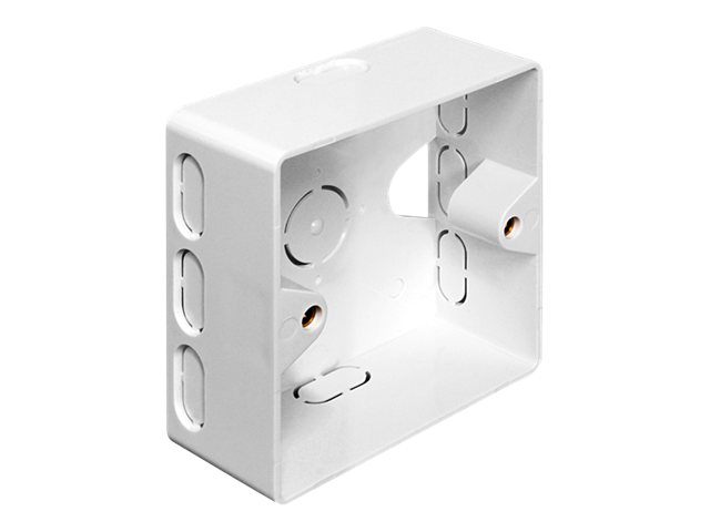 Delock Back Box - Installationskasten Netzwerkoberfläche