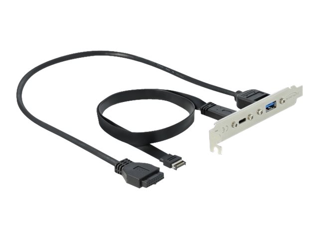 Delock Slot bracket - USB-Konsole - 19-poliger USB 3.0 Kopf, 20-poliger USB 3.1 Header zu USB Typ A, 24 pin USB-C (W)