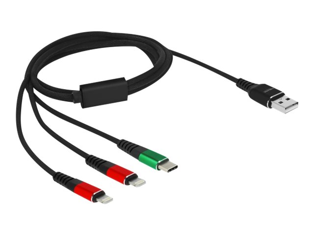 Delock 3 in 1 - Kabel nur zum Laden - USB männlich