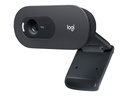 Logitech C505 - Webcam - Farbe - 720p - feste