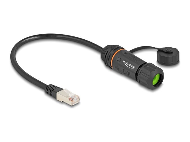 Delock Netzwerkverlängerungskabel - RJ-45 (M)