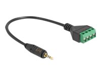 Delock Audio-Adapter - 2,5 mm 4-poliger Stereoanschluss