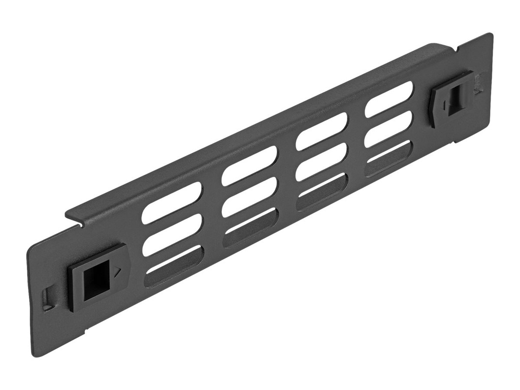 Delock Rackpaneel - mit Belüftungsschlitzen, werkzeugfrei - Schwarz - 1U - 25.4 cm (10")