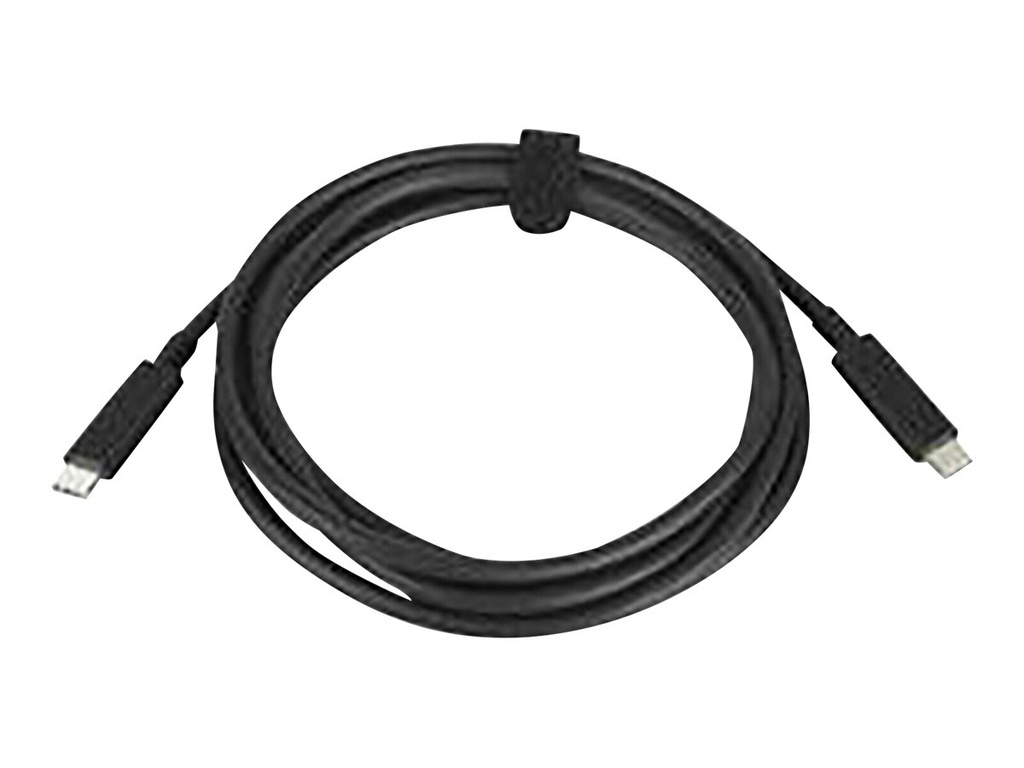 HP 100W - USB-Kabel - USB-C (M) zu USB-C (M)