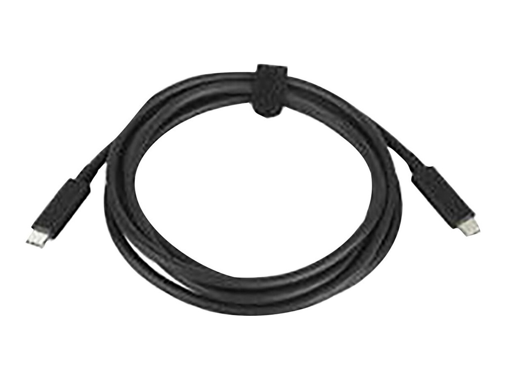 HP 100W - USB-Kabel - USB-C (M) zu USB-C (M)