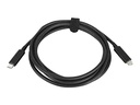 HP 100W - USB-Kabel - USB-C (M) zu USB-C (M)