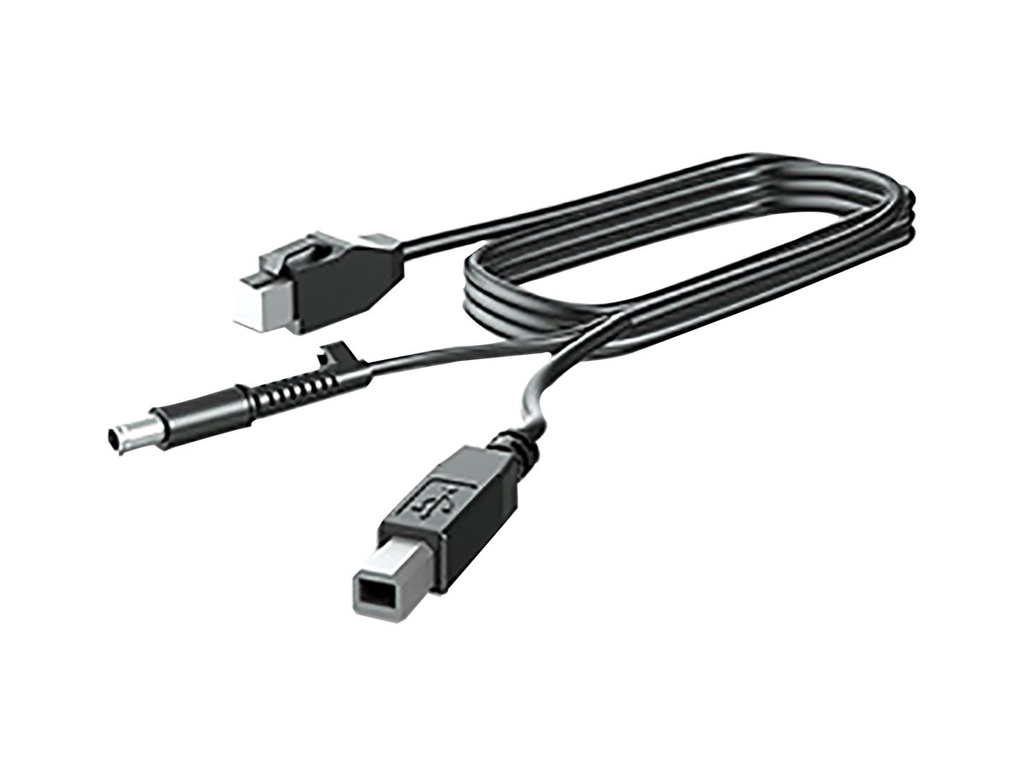 HP  DisplayPort-Kabel - DisplayPort (M) zu DisplayPort (M)