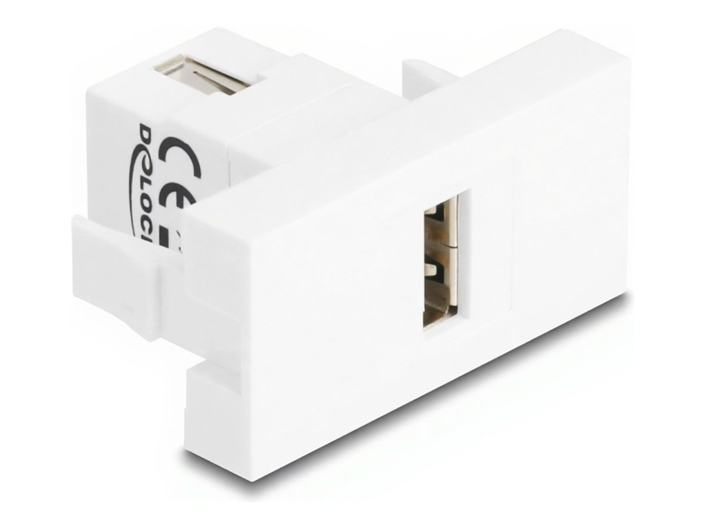 Delock Easy 45 - Einrastmodul - USB 2.0, weiblich