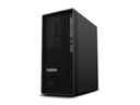Lenovo ThinkStation P2 Tower Gen 2 30JQ - Tower