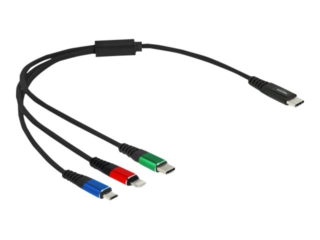 Delock 3 in 1 - Kabel nur zum Laden - 24 pin