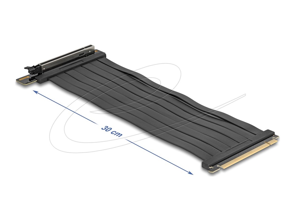 Delock Riser Card