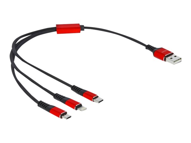 Delock 3 in 1 - Kabel nur zum Laden - USB männlich