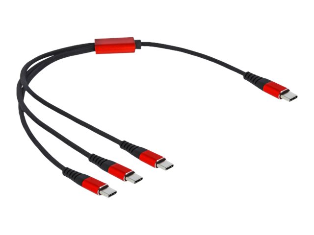 Delock USB-Kabel - USB-C (M) zu USB-C (M)