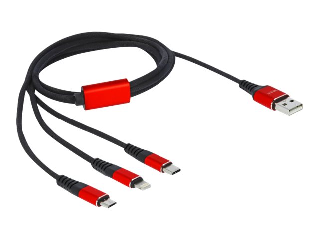 Delock 3 in 1 - Kabel nur zum Laden - USB männlich