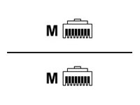 Lenovo IBM - Netzwerkkabel - RJ-45 (M) zu RJ-45 (M)
