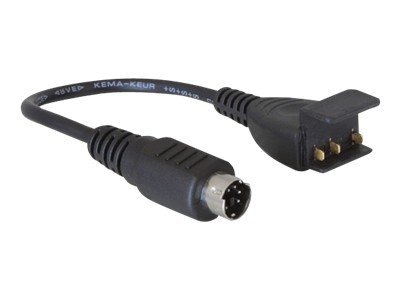 Delock P10C - Adapter für Power Connector - 20