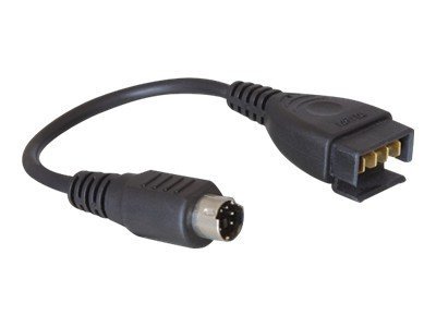 Delock Dell 1691 - Adapter für Power Connector