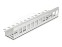 Delock Keystone-Adapter - Metall - DIN schienenmontierbar