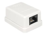 Delock Wanddose - CAT 6 - UTP - RJ-45 - weiß