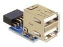 Delock USB-Adapter (W) zu USB (W)