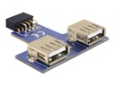 Delock USB Pinheader - USB-Adapter (W) zu USB (W)