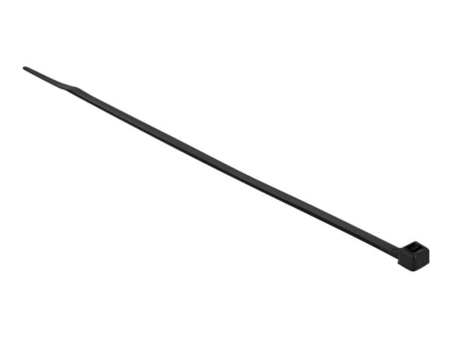 [19202] Delock Kabelbinder - kältebeständig - 30 cm - Schwarz (Packung mit 100)