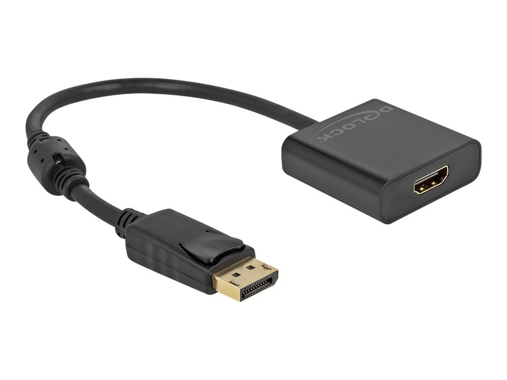 Delock Videoadapter - DisplayPort männlich