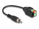 Delock Audio-Adapter - 2-polige Klemmleiste