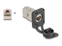Delock Modularer Einschub (Kopplung) - D-Type