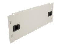 Delock Rack-Blindabdeckungsplatte - Grau - 2U - 25.4 cm (10")