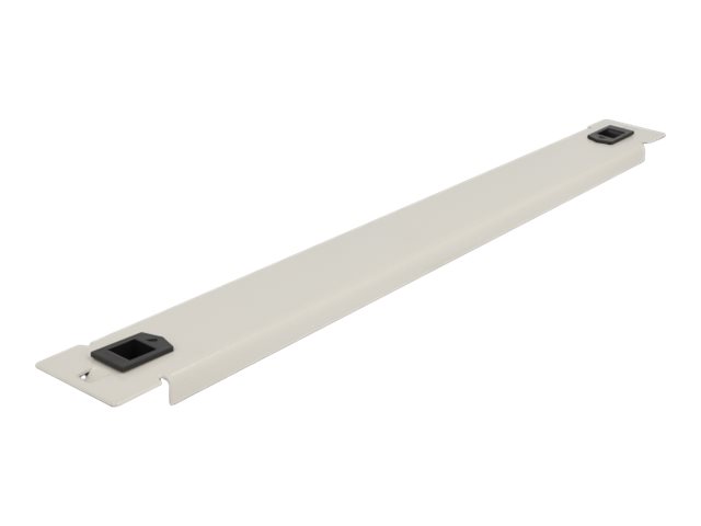 Delock Rack-Blindabdeckungsplatte - Grau - 1U - 48.3 cm (19")