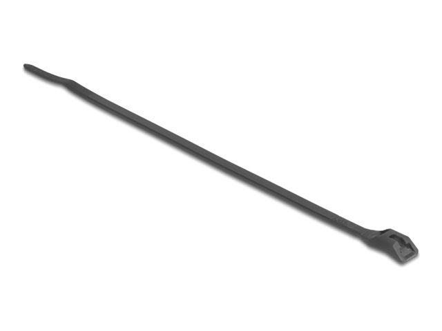 Delock Kabelbinder - mit flachem Kopf, B 2,5 mm - 20.5 cm - Schwarz (Packung mit 100)