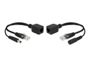 Delock Passive PoE Adapter Set RJ45 DC 5.5 x 2.1 mm - Power Injector - Schwarz (Packung mit 2)
